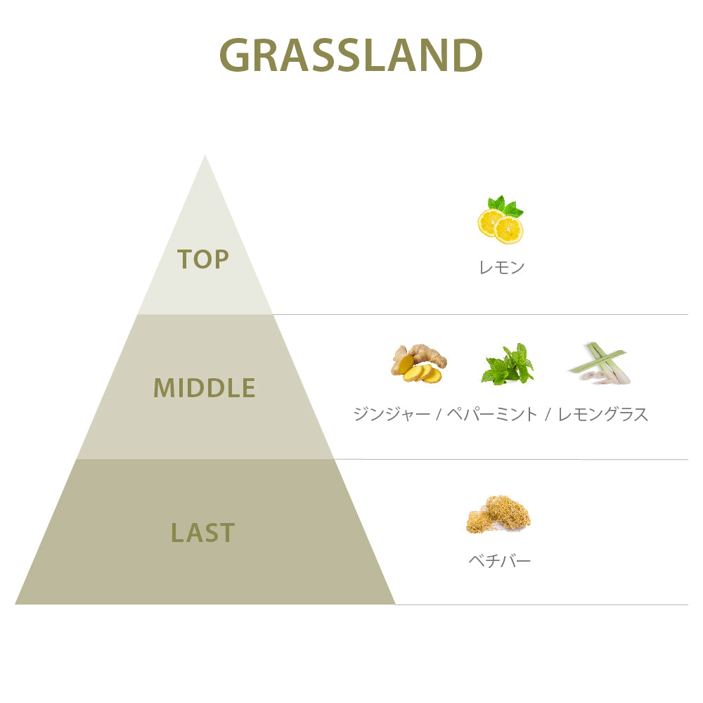 【OL】グラスランド リード ディフューザー 200mL