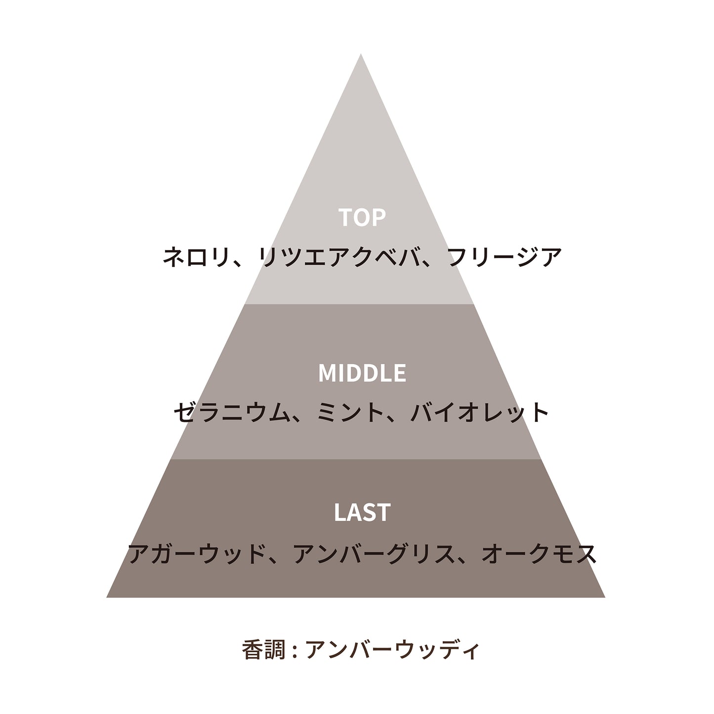 ジャングル キャンバス パルファム 50mL
