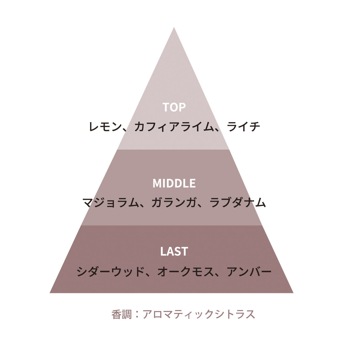 トーチ ブルーム パルファム 50mL