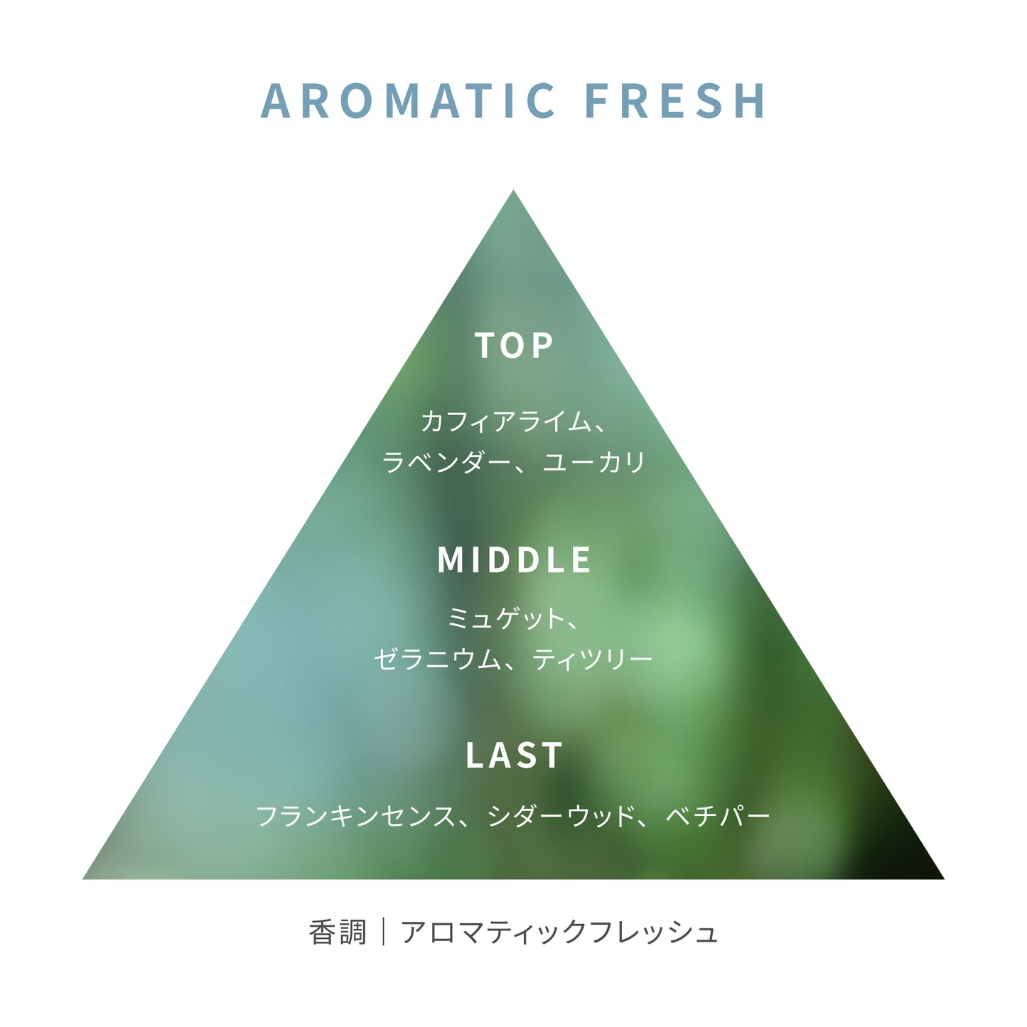 アロマティック フレッシュ レイン フォレスト ミスト 100mL