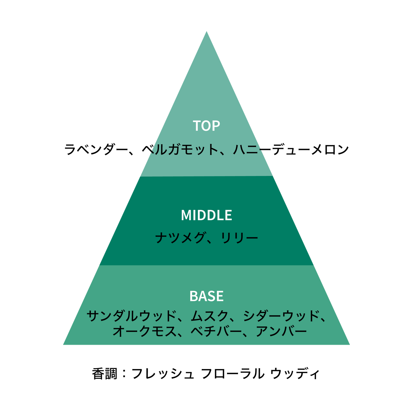 エラワン リード ディフューザー 50mL