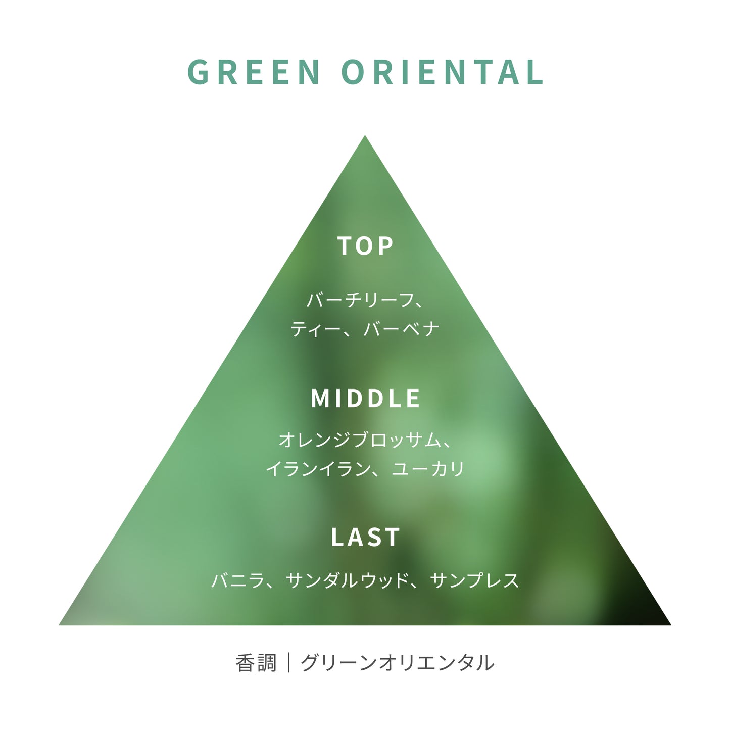 グリーン オリエンタル レイン フォレスト ミスト 100mL