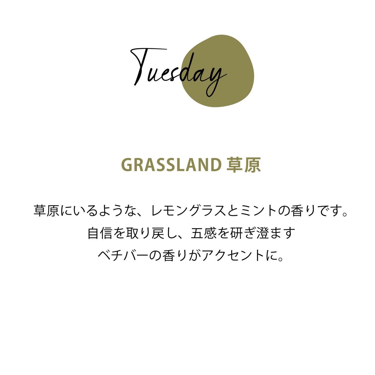 エッセンシャルオイル グラスランド 15mL