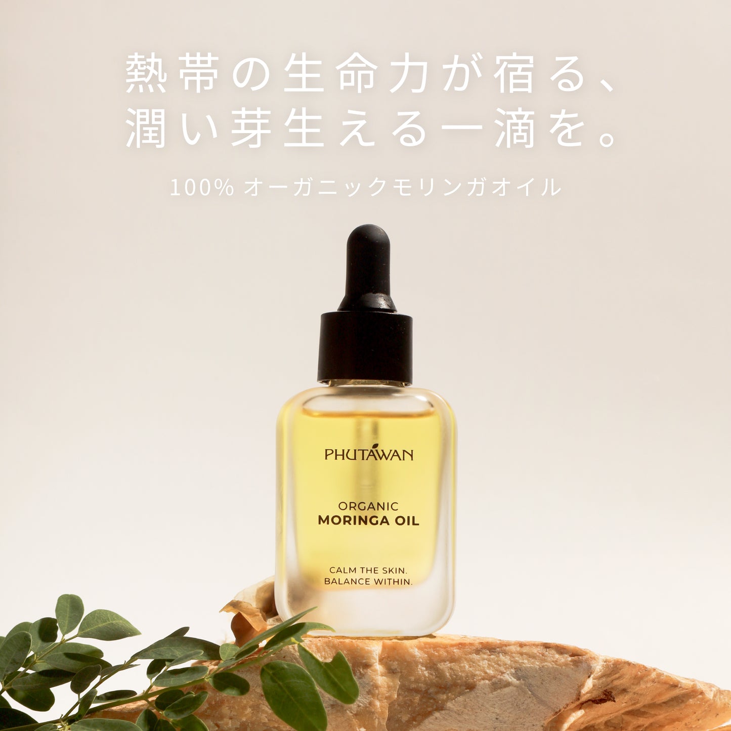 オーガニック モリンガ オイル 30mL