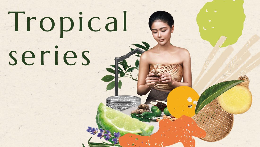 トロピカルシリーズ