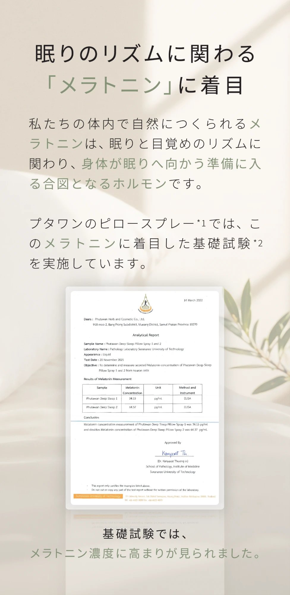眠りのリズムに関わる「メラトニン」に着目。私たちの体内で自然につくられるメラトニンは、眠りと目覚めのリズムに関わり、身体が眠りへ向かう準備に入る合図となるホルモンです。プタワンのピロースプレーでは、このメラトニンに着目した基礎試験を実施しています。基礎試験では、メラトニン濃度に高まりが見られました。